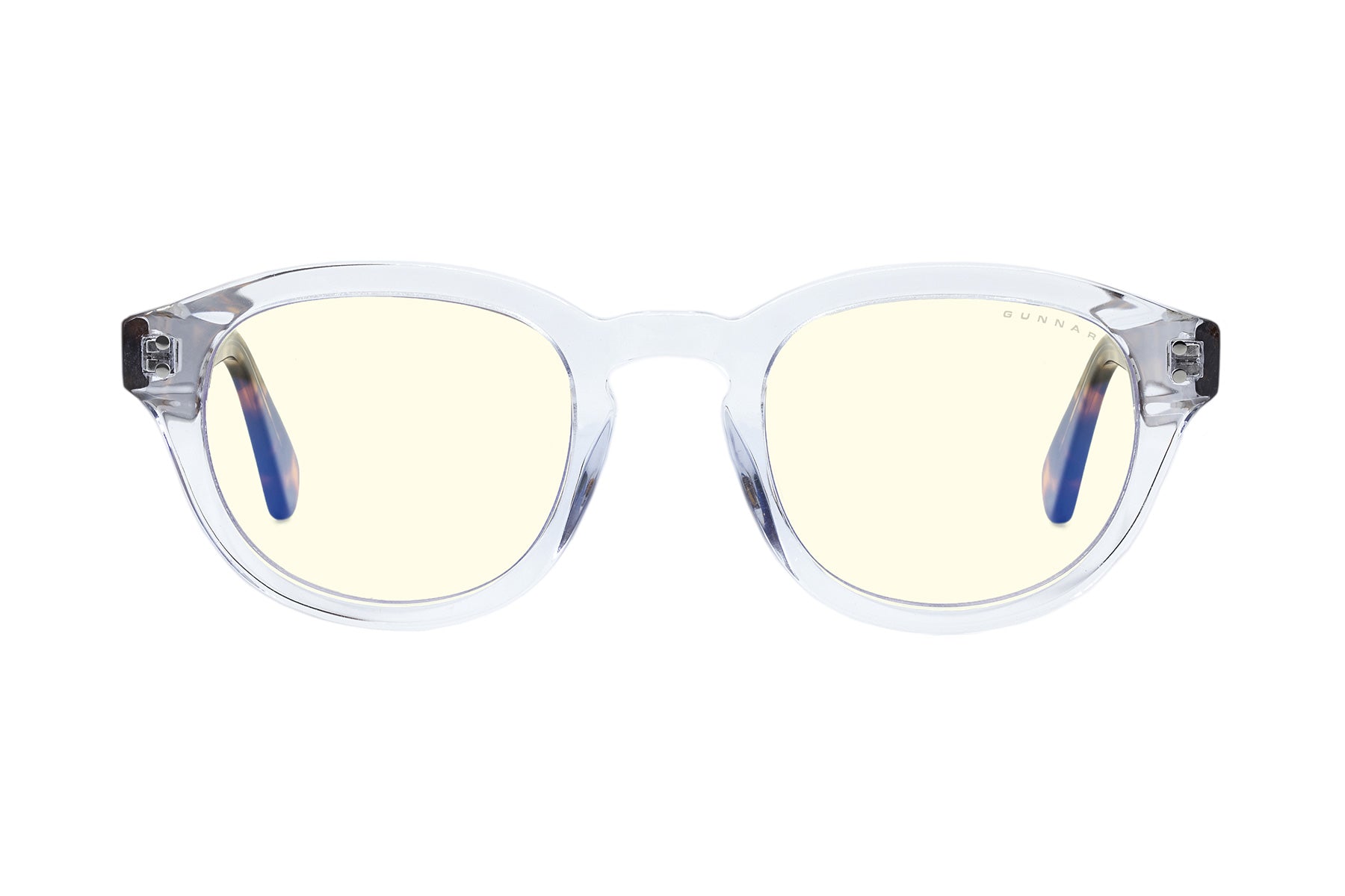 crystal-tortoise-clear