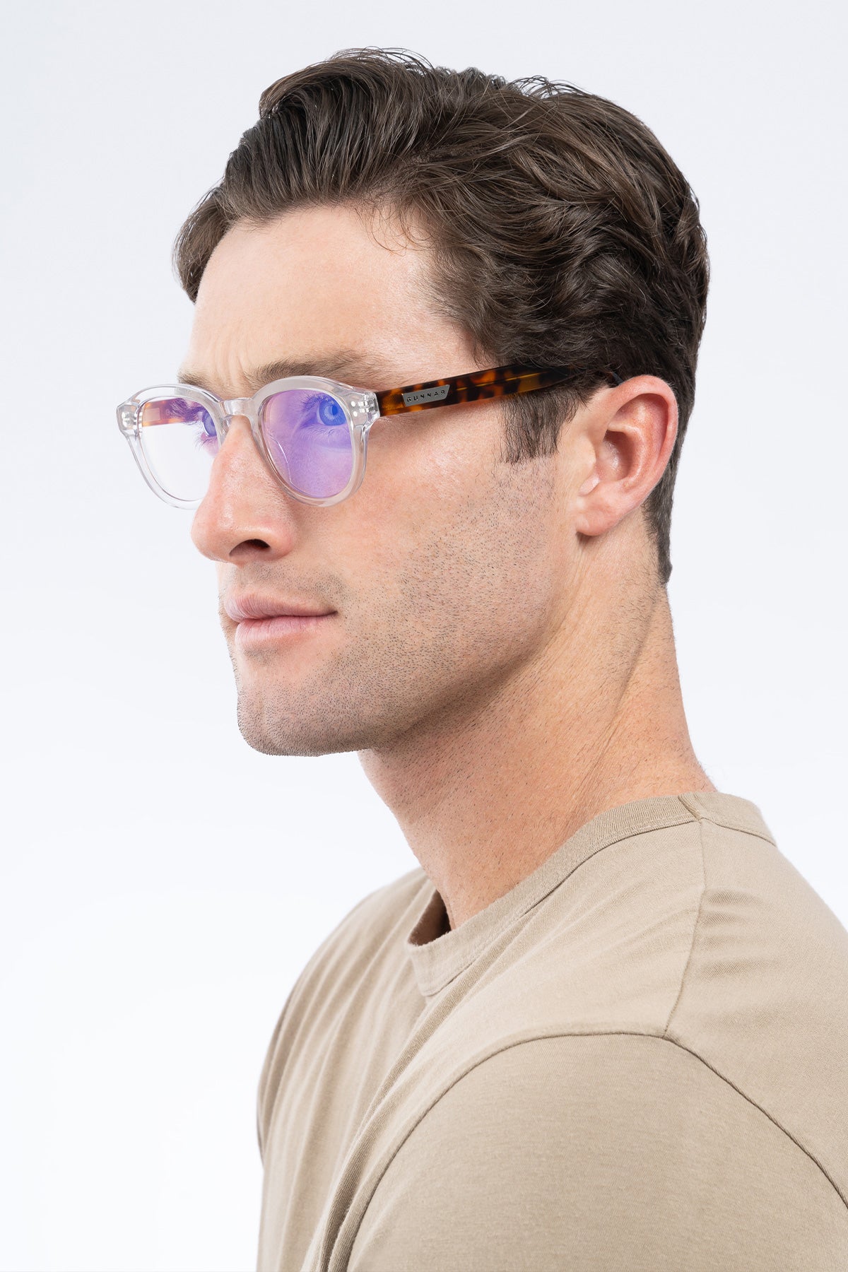 crystal-tortoise-clear