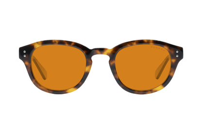 tortoise-onyx-amber-max